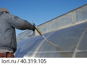 A man seals holes on a polycarbonate greenhouse with a silica sealant from fixing screws. Стоковое фото, фотограф Роман Дзюбало / Фотобанк Лори