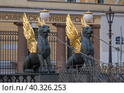 Грифоны на Банковском мосту на фоне Университета. Санкт-Петербург (2019 год). Редакционное фото, фотограф Ольга Визави / Фотобанк Лори