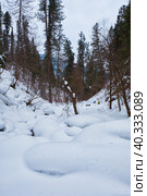 Footpath in winter taiga forest under heavy snow along Tevenek river on the bank of Teletskoe lake. Altai. Стоковое фото, фотограф Сергей Пристяжнюк (Serg Zastavkin) / Фотобанк Лори