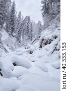 Footpath in winter taiga forest under heavy snow along Tevenek river on the bank of Teletskoe lake. Altai. Стоковое фото, фотограф Сергей Пристяжнюк (Serg Zastavkin) / Фотобанк Лори