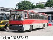 Ikarus 256 (2009 год). Редакционное фото, фотограф Art Konovalov / Фотобанк Лори