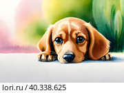 Такса, щенок. Стоковое AI-изображение, AI-художник Щеголева Ольга / Фотобанк Лори