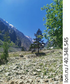 Ущелье по дороге на ледник в горах Кавказа (2021 год). Редакционное фото, фотограф Юлия Кваскова / Фотобанк Лори
