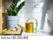 Drip fertilizer for potted plants, stimulator of development, growth acceleration, home plant care. A bottle of liquid is inserted into the soil in a pot. Home crop production. Стоковое фото, фотограф Ольга Симонова / Фотобанк Лори