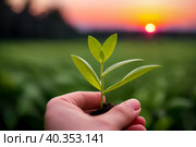 A green sprout of a plant in a man's hand against the background of sunset. Generative AI. Стоковое AI-изображение, AI-художник Mixail59 / Фотобанк Лори