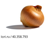 Golden onion bulb on a white background. Natural unprocessed unpeeled onion bulb close-up on white. Стоковое фото, фотограф Александр Кротков / Фотобанк Лори
