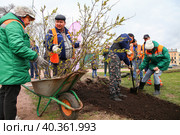 Общегородской весенний субботник. Участники субботника во время уборки листьев в Рахманиновском сквере. (2023 год). Редакционное фото, фотограф Евгений Кашпирев / Фотобанк Лори