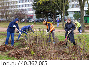 Общегородской весенний субботник. Участники субботника во время уборки листьев в Рахманиновском сквере. (2023 год). Редакционное фото, фотограф Евгений Кашпирев / Фотобанк Лори
