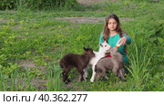 A teenage girl feeds three small colorful goats with milk from a bottle.  A girl with little goats on the green grass. Taking care of pets, real life. Стоковое видео, видеограф Александр Кротков / Фотобанк Лори