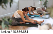 Concentrated sporty young woman doing stretching asana Janu Sirsasana during training with group in yoga studio. Стоковое видео, видеограф Яков Филимонов / Фотобанк Лори