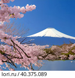 Spring sakura blossom, pagoda against the backdrop of Mount Fuji, landscape. Стоковое AI-изображение, AI-художник Сергей Елизарьев / Фотобанк Лори
