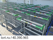 Покупательские торговые тележки на входе строительного магазина Ларуа Марлен (2023 год). Редакционное фото, фотограф Сергеев Валерий / Фотобанк Лори