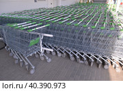 Покупательские торговые тележки на входе строительного магазина Ларуа Марлен (2023 год). Редакционное фото, фотограф Сергеев Валерий / Фотобанк Лори