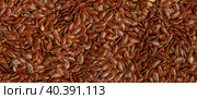 Flaxseed Culinary background. Flax seed close-up. Linseeds. Vegan and vegetarian cuisine. Top view, selective focus, banner, long picture. Стоковое фото, фотограф Виктория Панченко / Фотобанк Лори