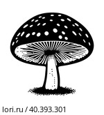 Black hand-drawn vector illustration of One fresh mushroom Fly agaric isolated on a white background. Стоковая иллюстрация, иллюстратор Татьяна Куклина / Фотобанк Лори