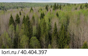 Южный Урал весной, вид на горную тайгу с воздуха. Southern Urals in spring, a view of the mountain taiga from the air. Стоковое видео, видеограф Евгений Романов / Фотобанк Лори