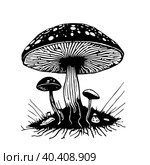 Black hand-drawn vector illustration of One fresh mushroom Fly agaric isolated on a white background. Стоковая иллюстрация, иллюстратор Татьяна Куклина / Фотобанк Лори