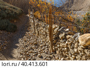 Mountain trail, fence mesh and stone, Himalayas Nepal. Стоковое фото, фотограф Михаил Пряхин / Фотобанк Лори