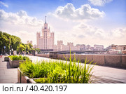 Высотка-небоскреб на Котельнической набережной и трава на клумбах, Москва (2019 год). Стоковое фото, фотограф Baturina Yuliya / Фотобанк Лори