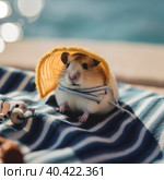 A hamster sitting on top of a blanket next to a stuffed animal. Generative AI image. Стоковое AI-изображение, AI-художник Сергей Старуш / Фотобанк Лори