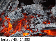 Раскаленные головешки. Догорающие дрова крупным планом. Стоковое фото, фотограф М Б / Фотобанк Лори