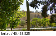 Кактус в ботаническом саду Арготти в Флориане. Валлетта. Мальта. (Cactus in Argotti Botanic Gardens in Floriana. Valletta. Malta.) (2018 год). Стоковое фото, фотограф Igor Bakirov / Фотобанк Лори