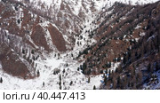 Горный Алтай зимой. Курайский хребет. Вид с воздуха. Altai mountains in winter. Kurai ridge. Aerial view. Стоковое видео, видеограф Евгений Романов / Фотобанк Лори