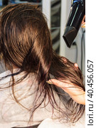 Young girl, hairdresser dries her hair with a hairdryer in a beauty salon. Стоковое фото, фотограф Юрий Поздников / Фотобанк Лори