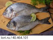Raw peeled dorado fish with cooking ingredients. Fresh fish on a wooden background. Стоковое фото, фотограф Юрий Поздников / Фотобанк Лори