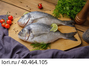 Raw peeled dorado fish with cooking ingredients. Fresh fish on a wooden background. Стоковое фото, фотограф Юрий Поздников / Фотобанк Лори