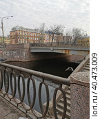 Карпоский мост через реку Карповку, фигурное ограждение, спуск к воде, голубь летит (2021 год). Стоковое фото, фотограф Елена Яворская / Фотобанк Лори