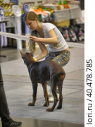 A visitor with dogs at the White Nights exhibition. Стоковое фото, фотограф Анна Кривицкая / Фотобанк Лори