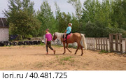 На улице в прекрасный теплый день девочка катается на лошади. Outside on a beautiful warm day, a girl rides a horse. Редакционное видео, видеограф Мария / Фотобанк Лори