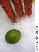 Seafood in ice background. Стоковое фото, фотограф Iva Noel / Фотобанк Лори