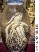 Ginseng healing tincture closeup. Стоковое фото, фотограф Iva Noel / Фотобанк Лори