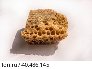 Piece of honeycomb with natural honey and natural shadows isolated on a white. Стоковое фото, фотограф Iva Noel / Фотобанк Лори