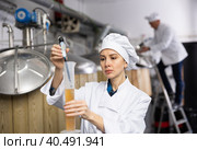 Female brewer using digital hydrometer for measuring beer density. Стоковое фото, фотограф Яков Филимонов / Фотобанк Лори