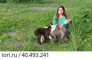 A cute girl feeds colorful baby goats with milk from a bottle. Стоковое видео, видеограф Александр Кротков / Фотобанк Лори
