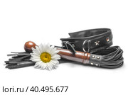 Bdsm leather lash and black collar with yellow daisy flowers on a white background. Стоковое фото, фотограф Артем Курутин / Фотобанк Лори