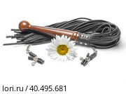 Black leather bdsm lash with clips and yellow daisy flower on a white background. Стоковое фото, фотограф Артем Курутин / Фотобанк Лори