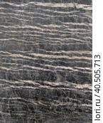 Polished stone serpentine with streaks of asbestos chrysotile. Dark gray with light stripes. Стоковое фото, фотограф Ирина Кононова / Фотобанк Лори