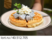 Woman holding Belgium waffles with dragon fruit and ice cream on a plate. Стоковое фото, фотограф Татьяна Терехина / Фотобанк Лори