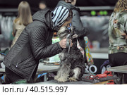Russia, Saint-Petersburg, 15,05,2014, International Dog Show of all breeds (CACIB-FCI, Chemp.RKF) WHITE NIGHTS. Редакционное фото, фотограф Анна Кривицкая / Фотобанк Лори