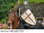 Open Festival of Medieval Culture "Vyborg Thunder". Knight on horseback (2014 год). Редакционное фото, фотограф Анна Кривицкая / Фотобанк Лори