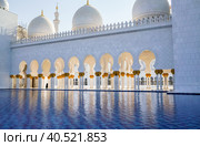 Abu Dhabi.The famous Sheikh Zayed Grand mosque. (2017 год). Стоковое фото, фотограф Саблин Станислав / Фотобанк Лори