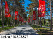 Alley of the Immortal Regiment on Sapun Mountain in the Hero City Sevastopol, Crimea (2021 год). Редакционное фото, фотограф Анна Кривицкая / Фотобанк Лори