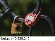 Padlock of lovers as a symbol of eternal love. Castles of love on the alley of love in Kolomenskoye Park. Стоковое фото, фотограф Photojuli / Фотобанк Лори