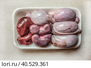 Raw testes and kidneys of an adult ram and lamb. Стоковое фото, фотограф Iva Noel / Фотобанк Лори