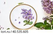 Needlework and craft. Video of embroidery with satin ribbons of sprig blooming lilac in round hoop on white background. Handmade gift. Embroidery as a hobby. Flat lay, close-up, top view. Стоковое видео, видеограф Виктория Катьянова / Фотобанк Лори