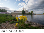 Монастырь Нило-Столобенская (Нилова) пустынь. Богоявленский собор, церковь Преподобного Нила и церковь Петра и Павла. озеро Селигер. Тверская область, Россия (2023 год). Редакционное фото, фотограф Литвяк Игорь / Фотобанк Лори